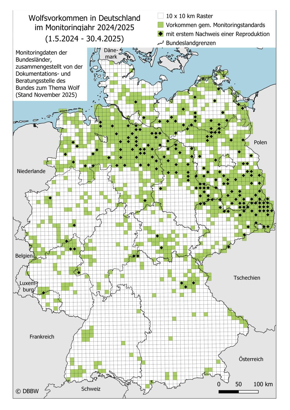 Karte der besetzten Rasterzellen 2024/25, Stand November 2025